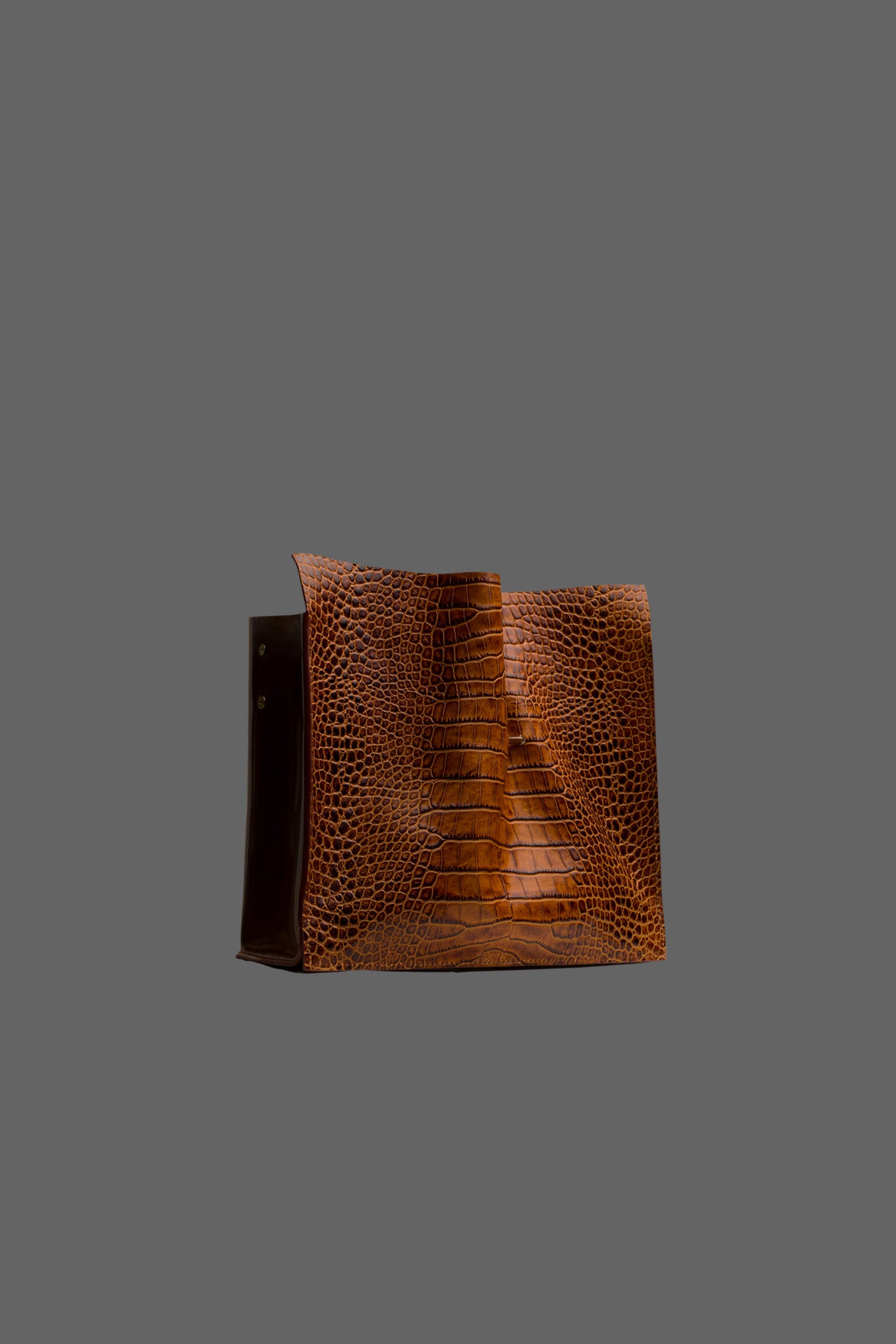 The Cabinet Leather Handbag in color Tan Embossed Croc