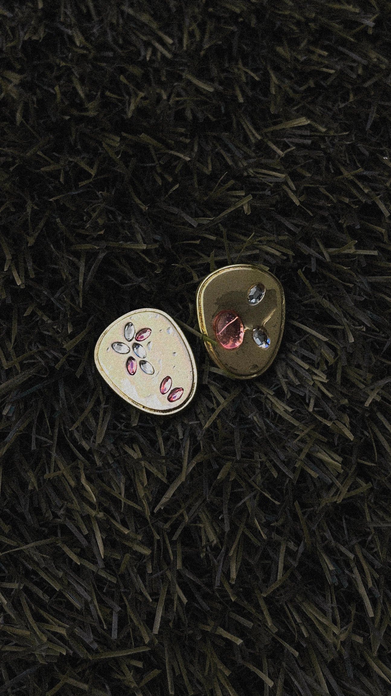 Seed