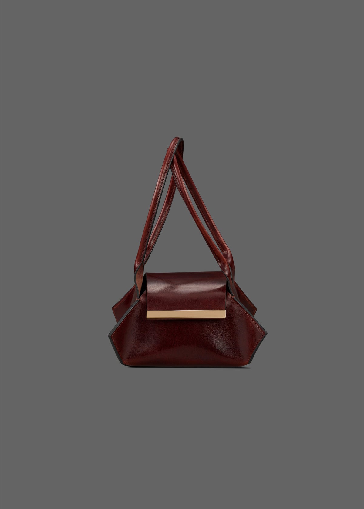 Swing leather bag in Color Oxblood vegetable tanned leather with Gold Hardware